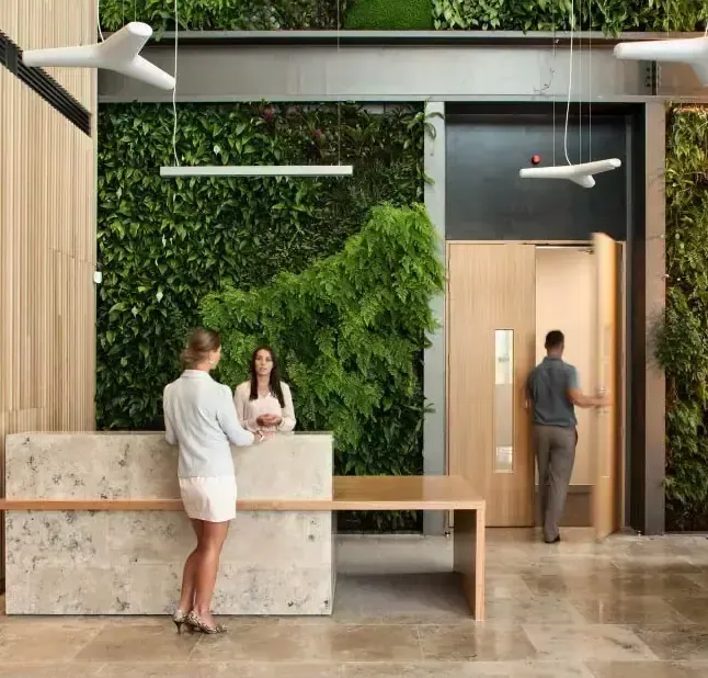 Fireplace and feature wall stone