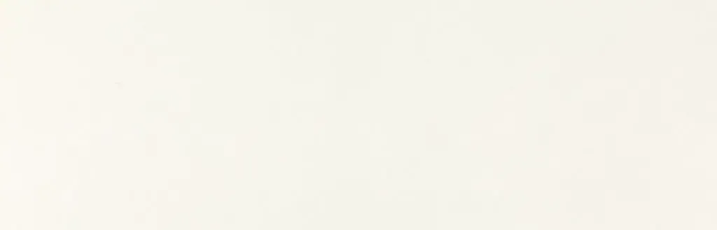 Fresh Concrete engineered stone